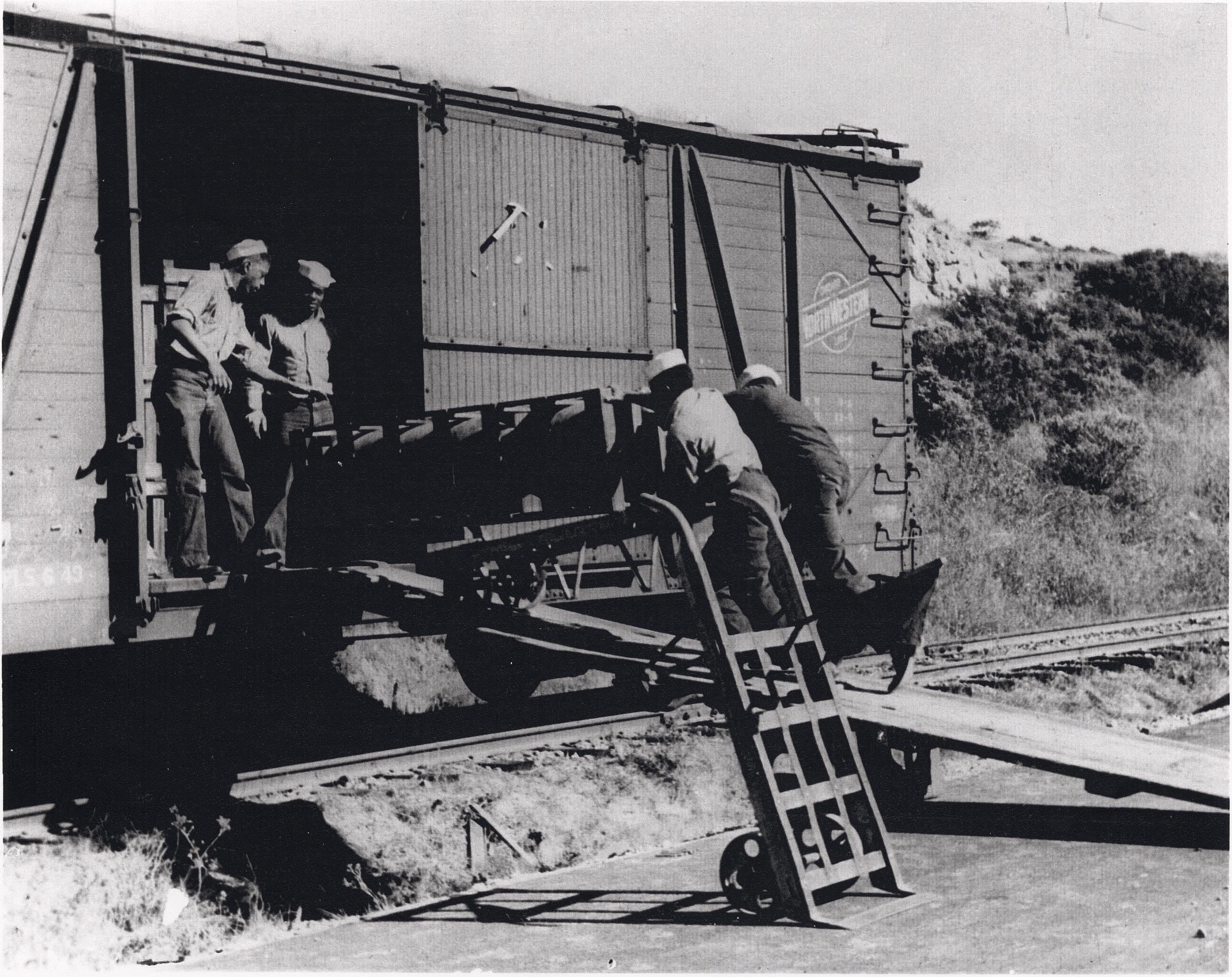 Sailors unloading ammunition from a boxcar Port Chicago. Credit: National Park Service