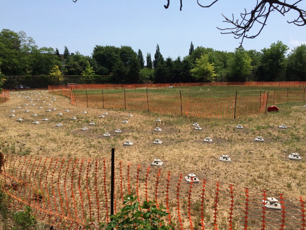 Naval Cemetery site, with "Diamond Pier" footings, June 2015.