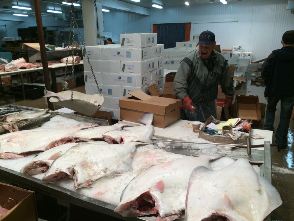 Halibut for sale in the New Fulton Fish Market.
