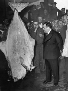 Mayor LaGuardia inspects a 300-pound halibut at the opening of the New Market Building at the Fulton Fish Market, 1939. Source: Library of Congress