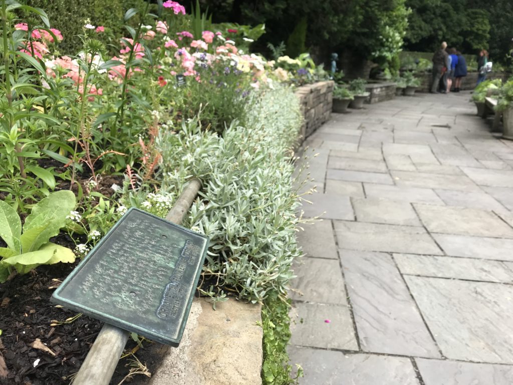 Photo of the Fragrance Garden showing a raised bed of plants and bronze plaque with Braille text and a group in the distance