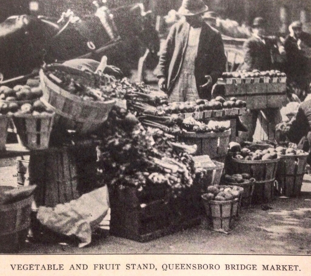 Queensboro Bridge Market (1915 NYC Department of Markets Report)