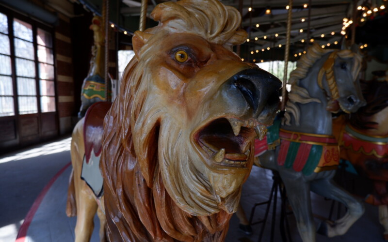 A wooden-carved and painted lion with an open mouth and sharp, fierce teeth and beady yellow and dramatic, aggressive-looking eyes at Prospect Park's carousel