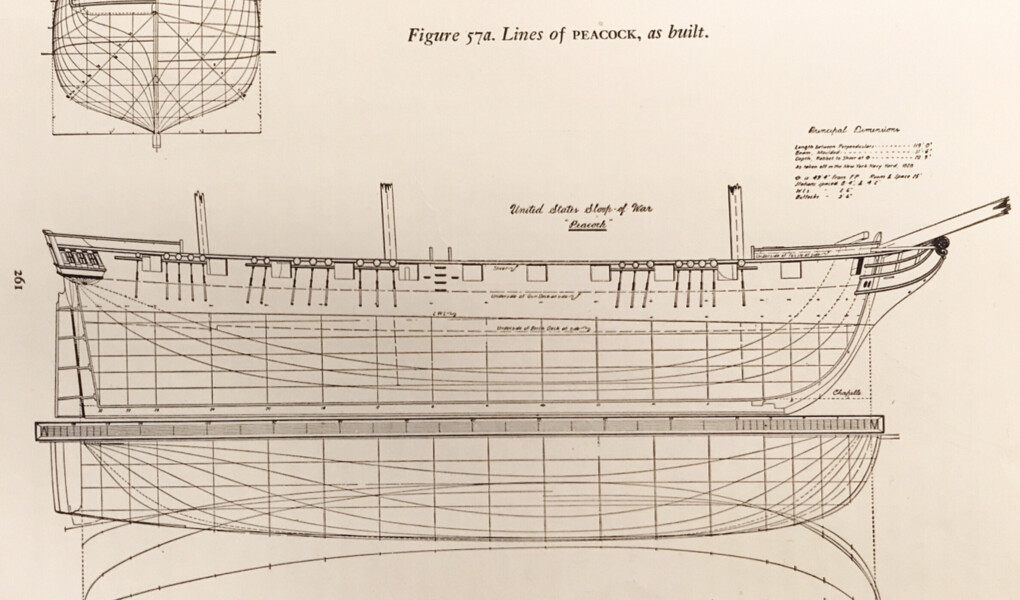 Diagram showing the lines of the sloop Peacock.