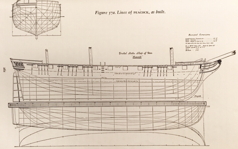 Diagram showing the lines of the sloop Peacock.