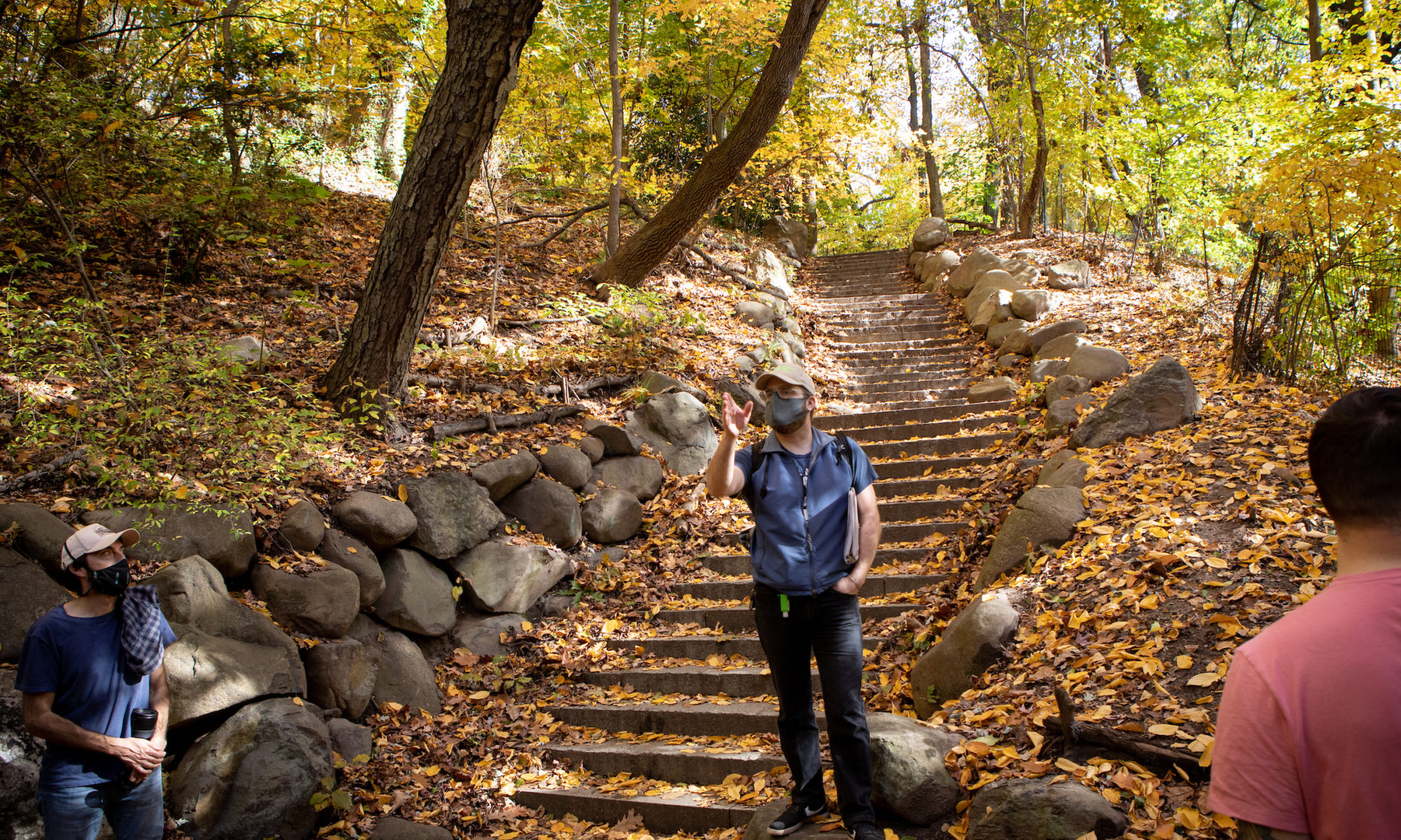 Guide Andrew Gustafson standing on stone steps in the Prospect Park Ravine forest, yellow leaves on the ground, pointing.
